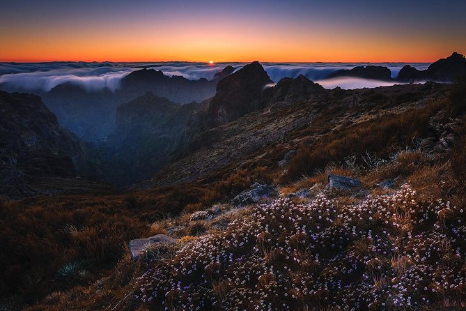 Madeira Top Sunrise - Who should book this sunrise experience