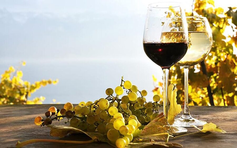 Madeira - Vineyard Tour Wine Tasting - Included - The São Vicente winery visit is the heart of the day