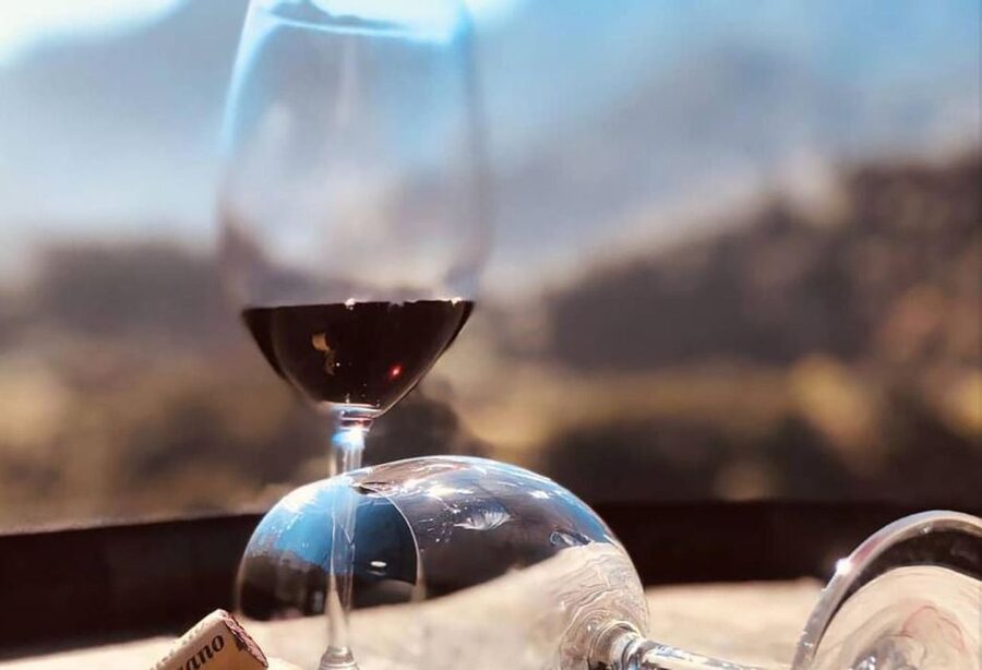 Madeira - Vineyard Tour Wine Tasting - Included - How the transport and timing affect the value