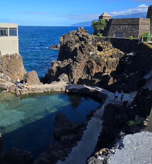 Madeira: Visit the Vulcanic Pools, Waterfalls and the Magic Forest of Fanal - Fanal Forest, Madeira’s atmospheric high point