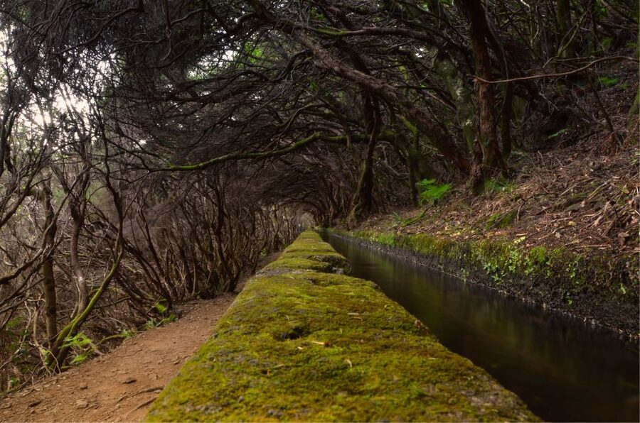 Madeira Walks - Rabaçal and the 25 Fountains - Four hours beside levadas and falling water