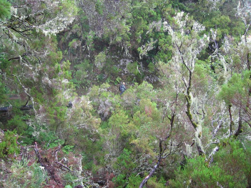 Madeira Walks - Rabaçal and the 25 Fountains - The 25 Fountains and the small clear lake