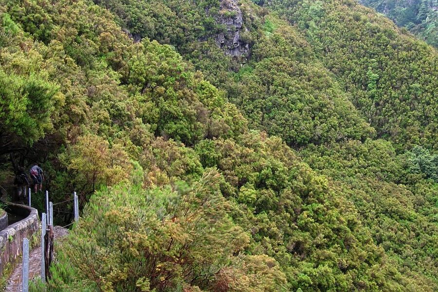 Madeira Walks - Rabaçal and the 25 Fountains - The 800-meter tunnel is a real highlight