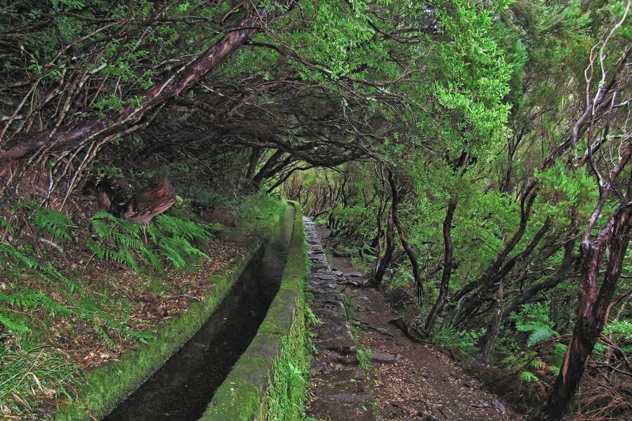 Madeira Walks - Rabaçal and the 25 Fountains - What the guides add to the experience