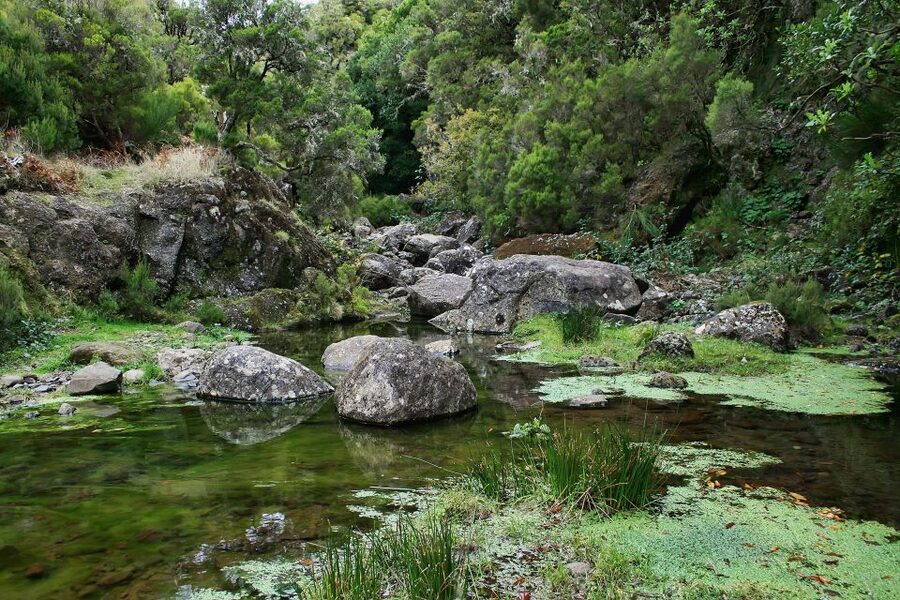 Madeira Walks - Rabaçal and the 25 Fountains - What to pack for a comfortable day