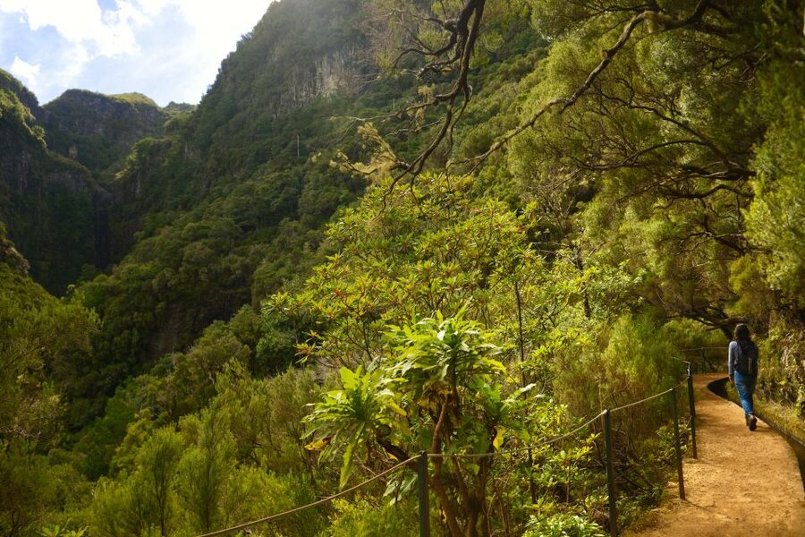 Madeira Walks - Rabaçal and the 25 Fountains - The 90-minute ride makes the day easy