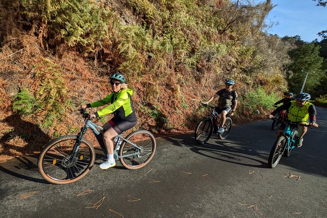 Madeira West Coast E-Bike Tour - What the guide adds to the ride