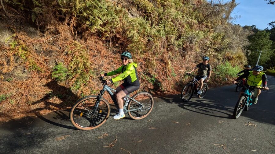 Madeira West coast: Guided Sightseeing E-Bike Tour - Farmhouses, fields, and working irrigation channels