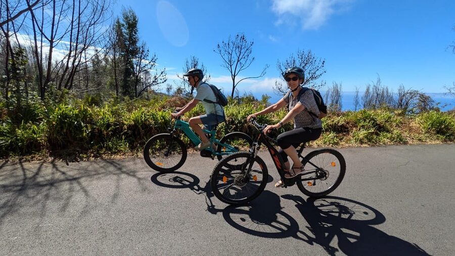 Madeira West coast: Guided Sightseeing E-Bike Tour - From Prazeres into the pine and eucalyptus roads