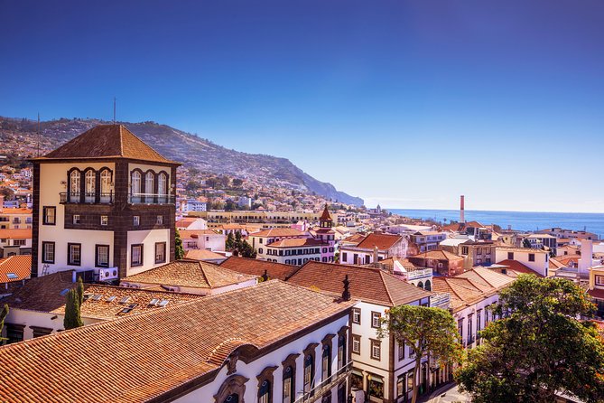 Madeira West Island Full Day Small-Group Tour from Funchal - What the driver-guide adds to the day