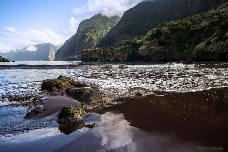 Madeira West Island Full-Day Tour with Fanal Forest - Key points to know before booking