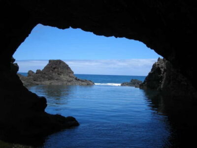 Madeira West Island Full-Day Tour with Fanal Forest