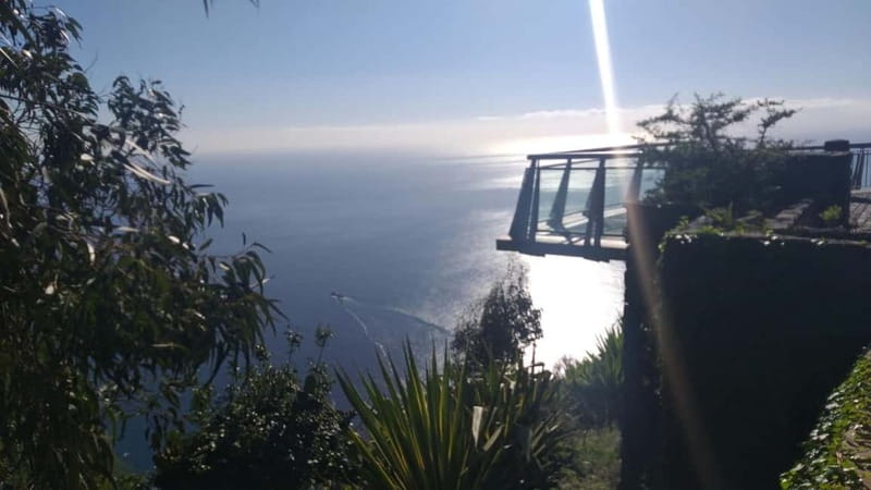 Madeira West Island Full-Day Tour with Fanal Forest - Ribeira Brava and Ponta do Sol