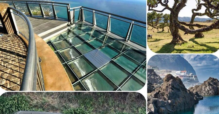 Madeira: West Tour With Guide Fanal Forest SykWalkExperience - Câmara de Lobos Begins the Coastal Story