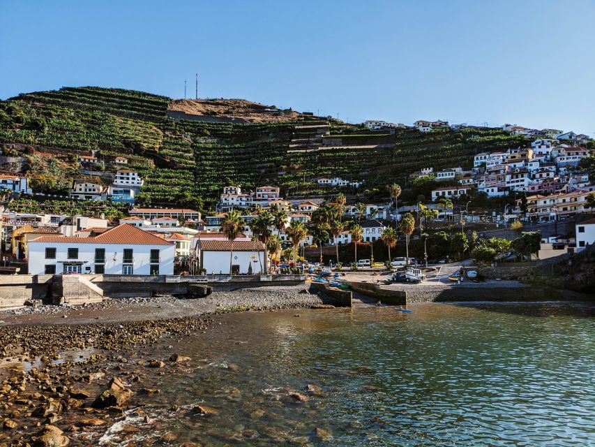 Madeira: Western Madeira Guided Trip & Fanal Mystic Forest - Seixal: cliffs above a darker, wilder shore