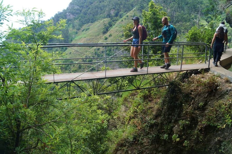 Madeira: Wet your hair in the amazing Levada Nova / Moinhos - Pickup, coffee, and the short ride inland