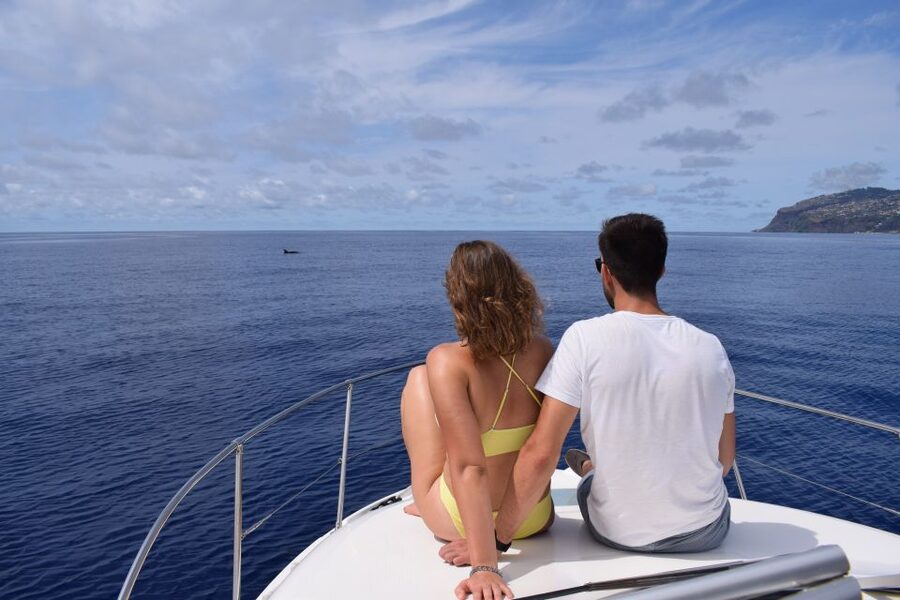Madeira: Whale and Dolphin Watching Private Cruise - Who Gets the Best Value for $577?