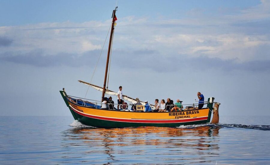 Madeira: Whale Watching Excursion in a Traditional Vessel - Who should take this boat trip?