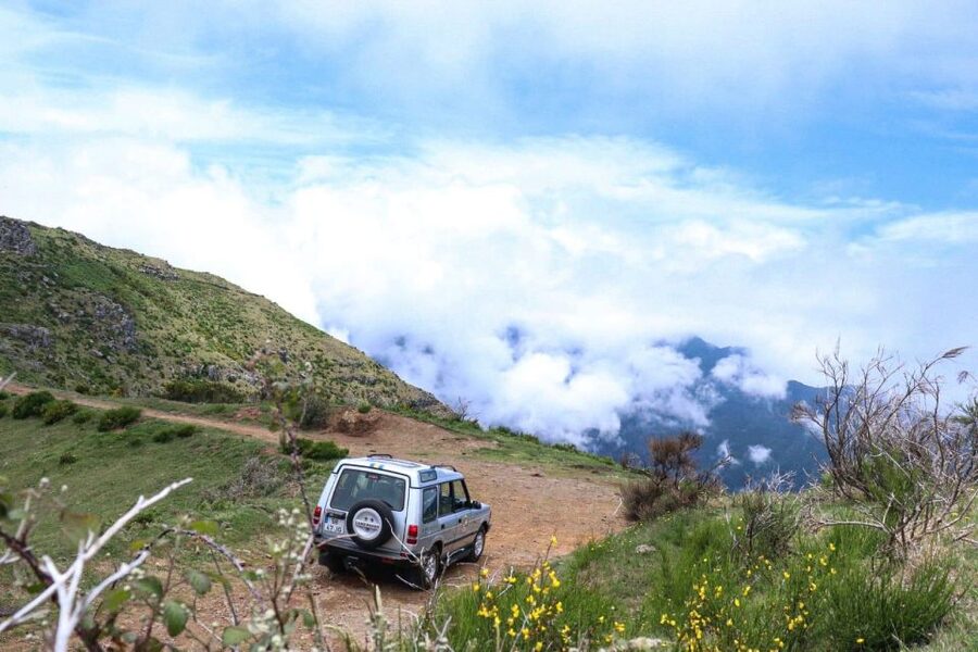 Madeira Wild West 4X4 Tour Safari - Laurissilva forest adds the adventure