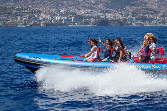 Magic Dolphin Sea Safaris - Leaving Funchal Marina on a fast, low boat