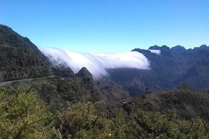 Majestic West Tour and Fanal Forest - Fanal Forest, the most memorable stop