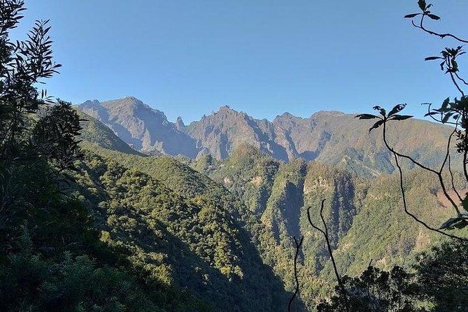 Majestic West Tour and Fanal Forest - Ribeira da Janela and the north coast road