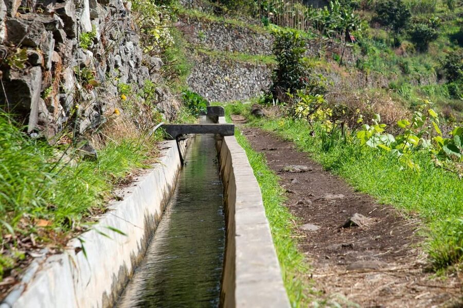 Maroços Madeira Island Levada Walk - What the guide adds to the experience