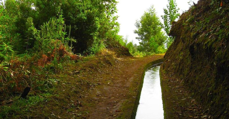 Maroços / Mimosa Valley - Levada Walk - Key points to know before booking