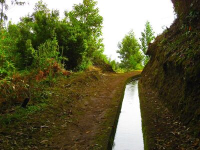 Maroços / Mimosa Valley – Levada Walk
