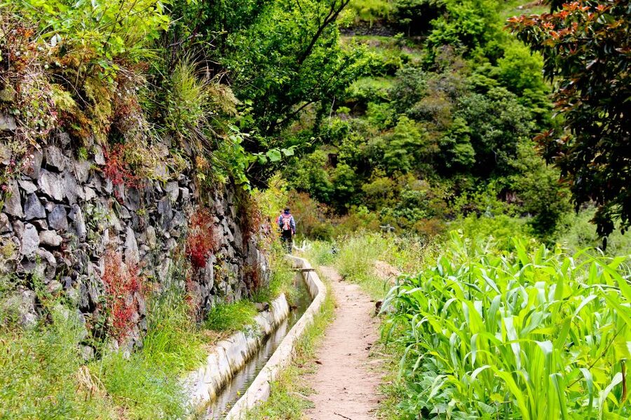 Maroços / Mimosa Valley - Levada Walk - The scenery: crops, irrigation, and Machico views