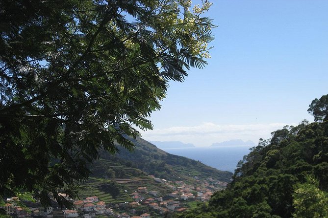 Maroços Mimosa Valley Levada Walk from Funchal - The 8:30 pickup from Funchal