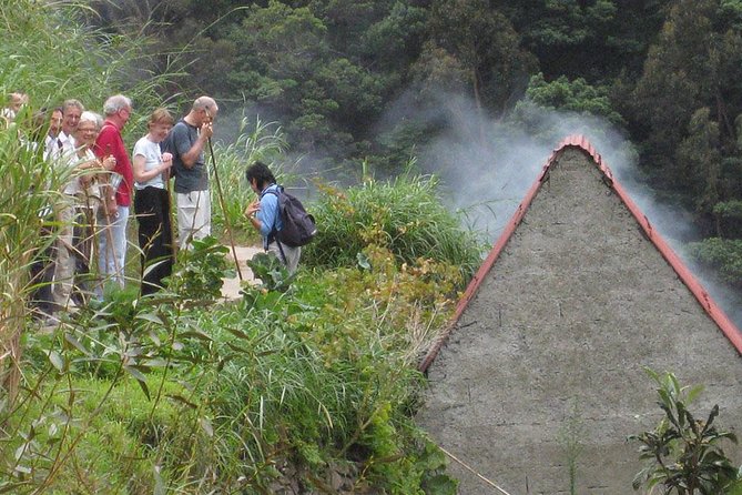 Maroços Mimosa Valley Levada Walk from Funchal - Who should book this walk?