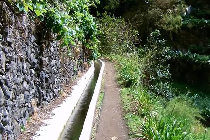 Mimosa Valley Walk - Why the Mimosa Valley feels different