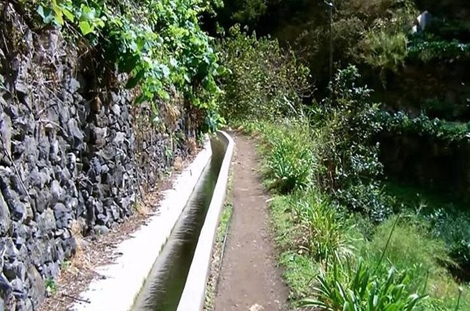 Mimosa Valley Walk - The walking difficulty and what to wear