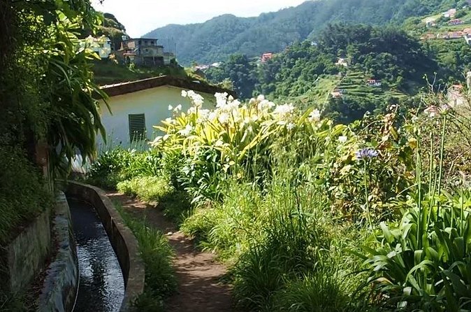 Mimosa Valley Walk - Who should book the Mimosa Valley Walk