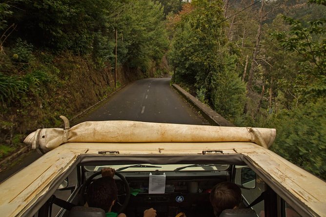 Mini -Combo East Challenge (Jeep & Levada Walk)- Shared Tour - Camacha and the 30-minute levada walk