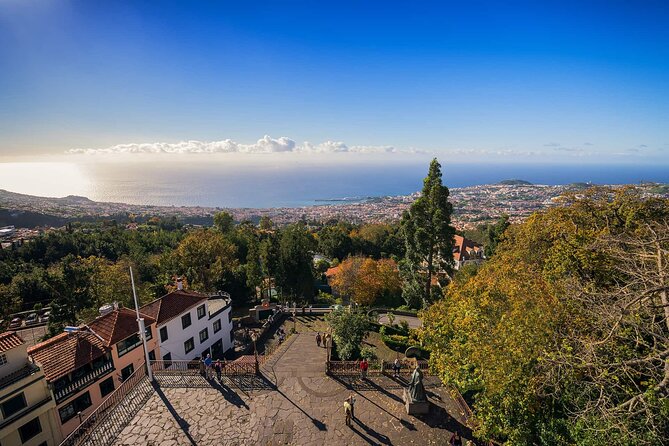 Monte Tropical Garden & Toboggans private Tuk-Tuk tour - The wicker toboggan from Monte to Funchal