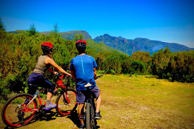 Mountain Biking Tour - Beginner Easy - From Funchal to Poiso at 1,400 meters