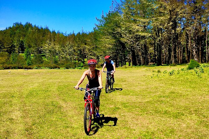 Mountain Biking Tour - Beginner Easy - Following levadas toward Camacha