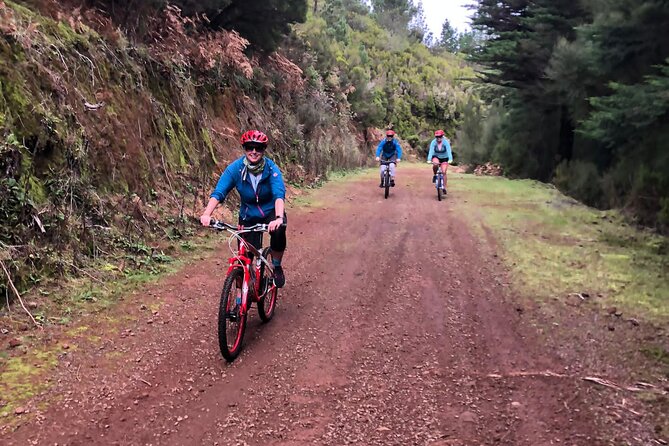 Mountain Biking Tour - Beginner Easy - Who should choose this Madeira bike tour
