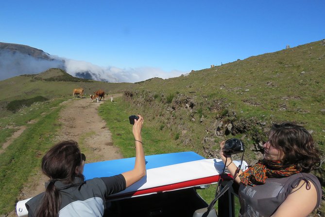 Northeast 4x4 Santana and Landscapes Day Trip - Porto da Cruz and Madeira’s working sugarcane tradition
