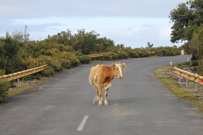 NorthWest Landscapes, UNESCO & volcanic pools 4x4 experience - What the open-top 4x4 adds