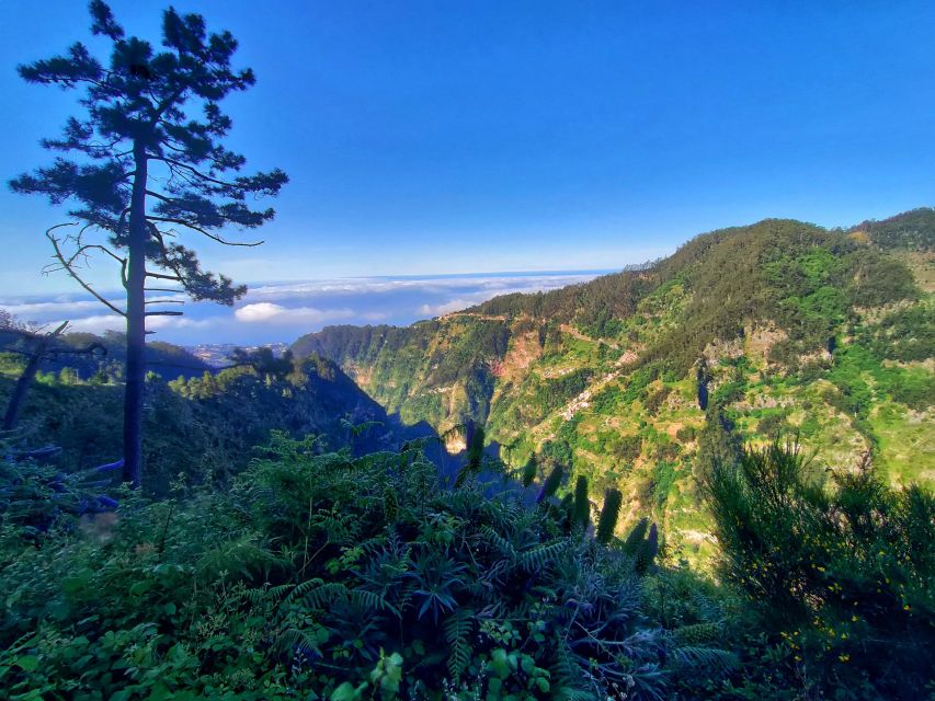Nun's Valley - The climb to Eira do Serrado at 1,094 meters