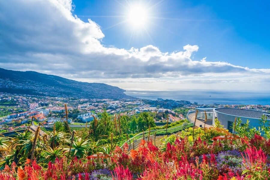 Nun's Valley & Pico dos Barcelos Madeira Island Tour - Why this short Madeira tour works