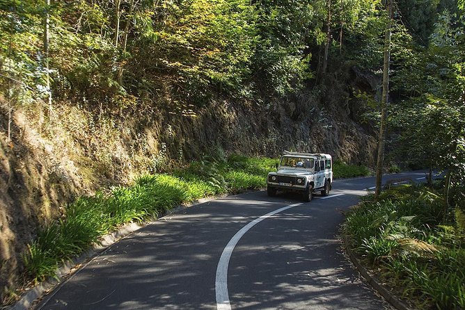 Nun's Valley & Sea Cliff - Half Day - Shared Tour - Local wine and Madeira’s farming traditions