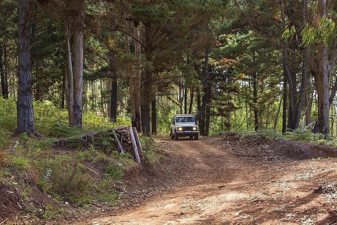 Nun's Valley & Sea Cliff - Half Day - Shared Tour - Is the shared Jeep comfortable enough?