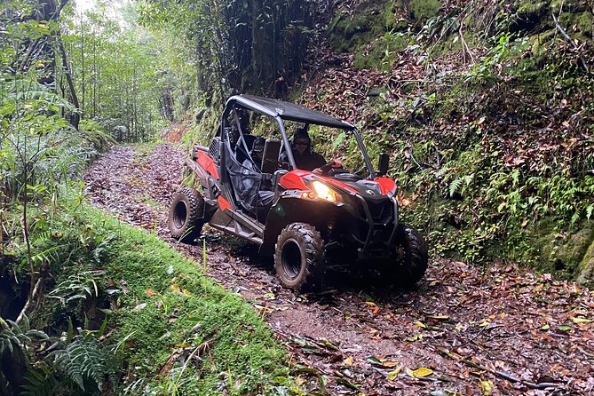 Off-Road Buggy Driving Experience - Why the Six-Person Limit Matters
