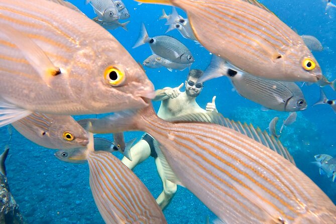 Open-Water Swimming in Madeira - Practical details that affect your day