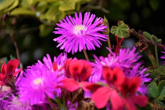 Paradise Valley Beauty Walk - Why this walk makes a smart first morning