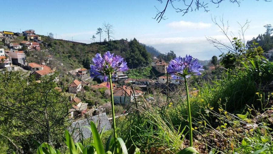 Paradise Valley half-day morning walk. - Key points to know before booking